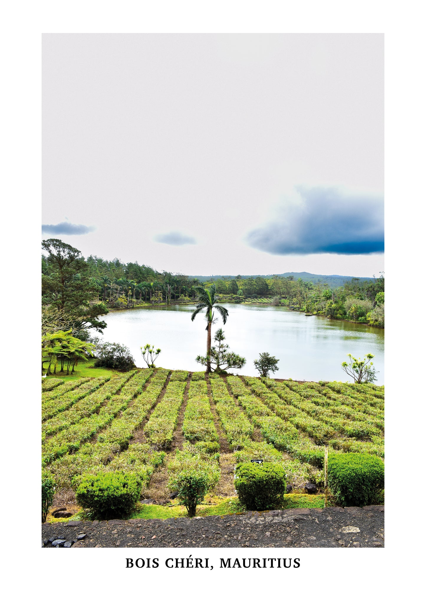 Bois Chéri, Mauritius